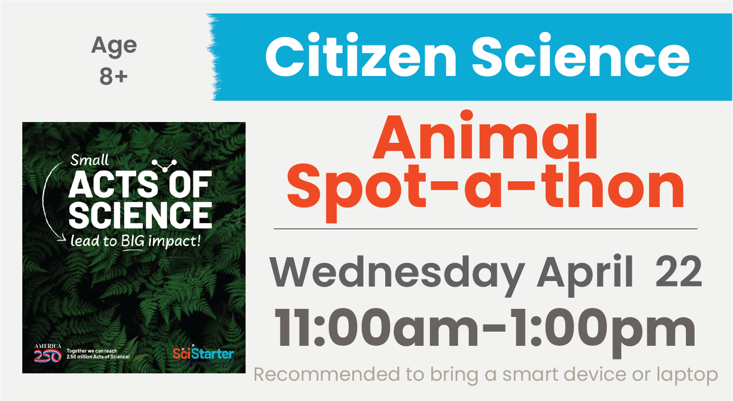 Citizen Science Animal Spot a Thon